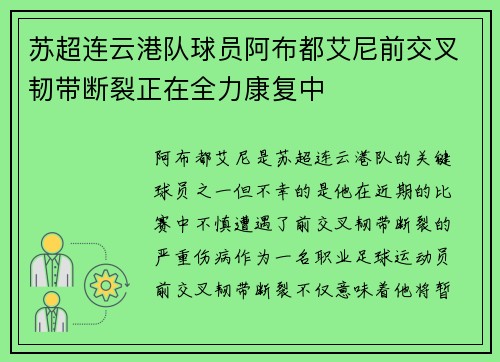 苏超连云港队球员阿布都艾尼前交叉韧带断裂正在全力康复中